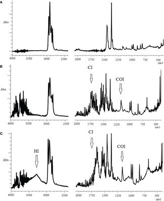 Biodegradation of polypropylene by filter-feeding marine scallop Mizuhopecten yessoensis: infrared spectroscopy evidence